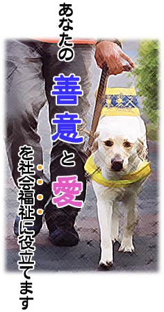 あなたの善意と愛を社会福祉に役立てます