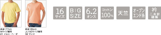 サイズなどの詳細